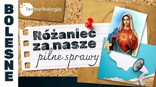 Różaniec Teobańkologia za nasze pilne sprawy 2010 Piątek [upl. by Elboa]