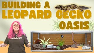 Creating A DESERT OASIS For Our Leopard Gecko  Zen Habitats Leopard Gecko Enclosure Build [upl. by Bathsheeb]