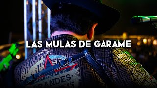 Herencia de Grandes  Las Mulas de Garame Corridos 2024 [upl. by Sral991]