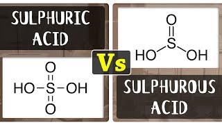 What is the Difference Between Sulphuric Acid and Sulphurous Acid  Chemistry Concepts [upl. by Annej]