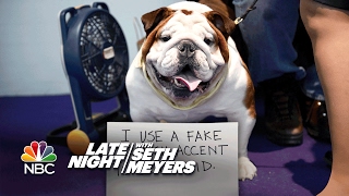 Extreme DogShaming Westminster Dog Show Edition [upl. by Mellitz]