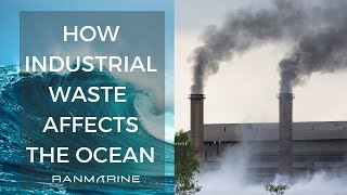 How Industrial Waste Affects the Ocean [upl. by Alodee]