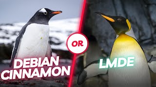 LMDE or Debian with Cinnamon Which is the better choice You should know this beforehand [upl. by Rehpatsirhc]