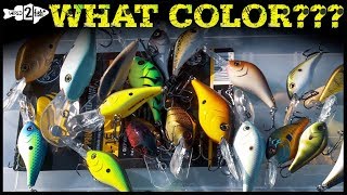 Crankbait Color Selection Tips and When to Change [upl. by Salchunas]