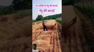 funny farmer comedy punjabi farming [upl. by Disini]