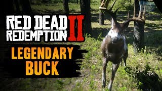 Red Dead Redemption 2 Legendary Animal  Legendary Buck [upl. by Ardith]