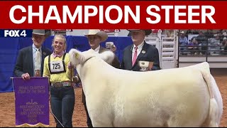 Leadfoot named grand champion at 2024 Fort Worth Stock Show amp Rodeo [upl. by Ardnuasak]