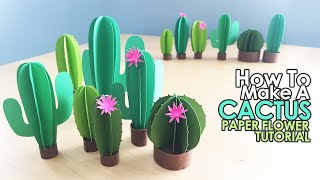 DIY Paper Cactus  How To Make A Cactus  Easy Paper Flower Tutorial [upl. by Motteo]