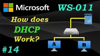 DHCP Explained Step by Step Tutorial  WS011  Ep14 [upl. by Eelreveb]