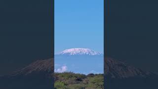 Kilimanjaro Sprinkled With Snow [upl. by Edmanda]