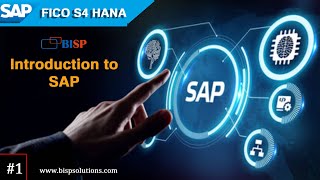 What is SAP Introduction to SAP Basics of SAP and How it Works  bispsolutions​ [upl. by Dnilasor780]