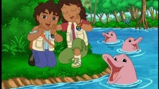 Go Diego Go  Diego Saves the River Dolphin [upl. by Tandy]