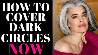 HOW TO COVER DARK CIRCLES AND UNDER EYE BAGS  Nikol Johnson [upl. by Francesco858]