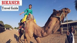 Bikaner  Rajasthan Travel Guide  Things to Do [upl. by Faletti]