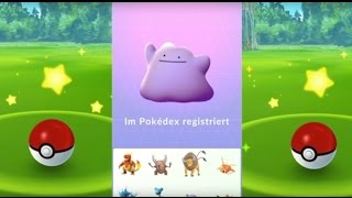 Pokémon GO 012 Ditto wild fangen  Patch 047 Thanksgiving  Georok Kicklee und Amonitas auch [upl. by Ahsotan]