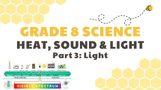 Light  Grade 8 Science DepEd MELC Quarter 1 Module 4 Part 3 [upl. by Lysander]