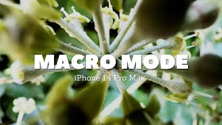 iPhone 14 Pro Max Macro Mode 4K 60fps [upl. by Tiduj672]