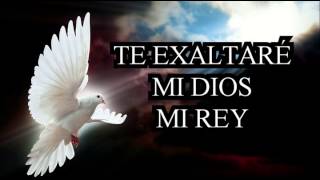 CORITOS CRISTIANOS TE EXALTARE MI DIOS MI REY [upl. by Hanschen]