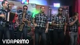 Banda Real  El Diente De Oro Live [upl. by Aihsoem954]