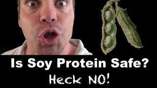 Is SOY Protein Safe For Men  Heck No [upl. by Naharba]