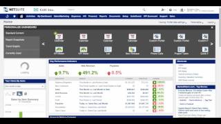 NetSuite Dashboard Overview [upl. by Halfon]