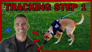 The First Step to Teach Your Dog Competitive Tracking [upl. by Ciel]