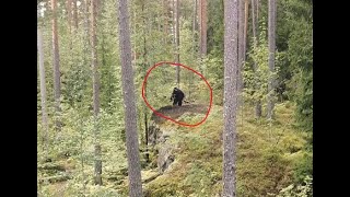 Bigfoot Spotted in Lapland Finland [upl. by Sirraj]