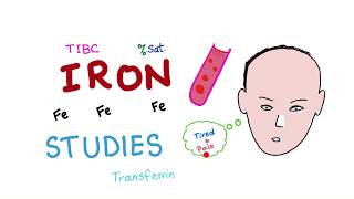 Iron Studies  Serum Fe TIBC ferritin amp Transferrin  Saturation [upl. by Nevetse]