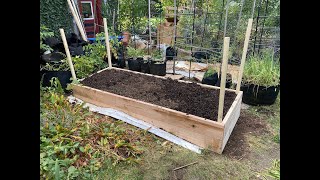 Building a NEW Raised Garden Bed [upl. by Anez242]