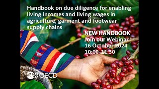 Launch of OECD Handbook on Living Income and Living Wage Due Diligence [upl. by Esirahs]