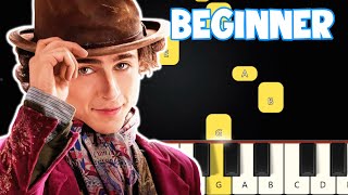 Pure Imagination  Wonka  Beginner Piano Tutorial  Easy Piano [upl. by Halfon]