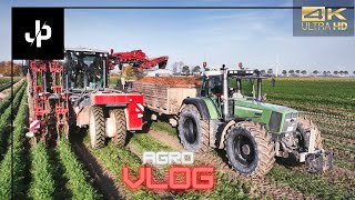 Möhren Ernte 2022 wie geht das FendtCase Agrovlog 13  JP Agrar [upl. by Lilhak495]