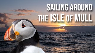 In search of puffins on Lunga  Sailing around the Isle of Mull west coast of Scotland Ep2 [upl. by Ahsata610]