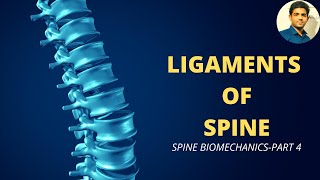 LIGAMENTS OF SPINE  SPINE BIOMECHANICS Part 4 [upl. by Ecirtaeb]