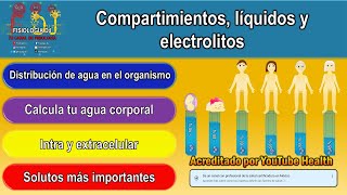 Líquidos y electrolitos fisiología  Líquidos y compartimentos corporales [upl. by Macrae520]