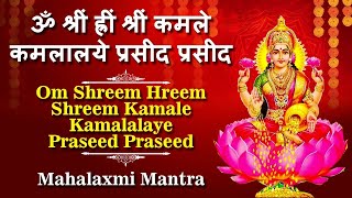 Om Shreem Hreem Shreem Kamle Kamalalaye Praseed Praseed  Mahalaxmi Mantra  Laxmi Mantra Jaap [upl. by Ben]