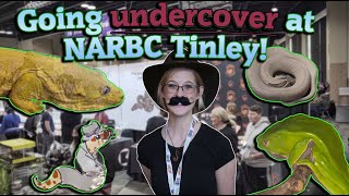 NARBC REPTILE EXPO TINLEY PARK October 2023 [upl. by Eisnil961]