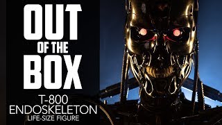 T800 Endoskeleton LifeSize Figure Unboxing [upl. by Ellennoj]