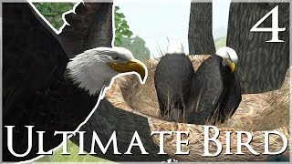 A Magnificent New Nest amp Marvelous Mate 🐦 Ultimate Bird Simulator  Episode 4 [upl. by Hazel]