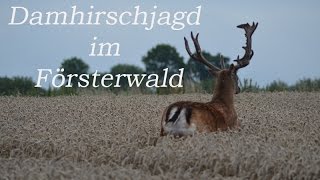 Damhirschjagd im Försterwald [upl. by Airamak]