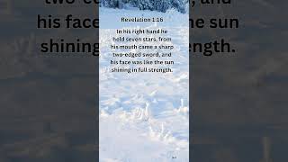 Journey of faith and spiritual growth  Revelation 116 Daily Bible Verse [upl. by Adnohsal]