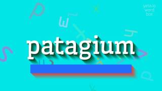 How to say quotpatagiumquot High Quality Voices [upl. by Rock]