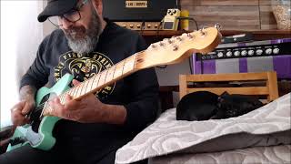 Telecaster Warmoth Vs Fender American Vintage 52 Reissue [upl. by Graaf]