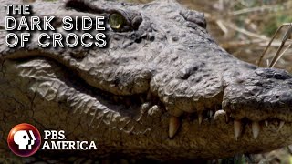 The Dark Side of Crocs FULL SPECIAL  PBS America [upl. by Leotie]