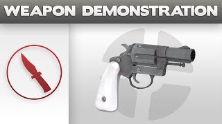 Weapon Demonstration Enforcer [upl. by Nadine]