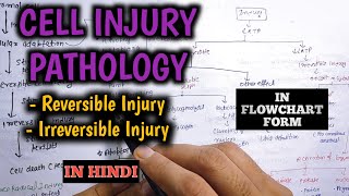 Cell injury pathology in hindi  Mechanisms of cell injury  Apoptosis  Necrosis [upl. by Uda]