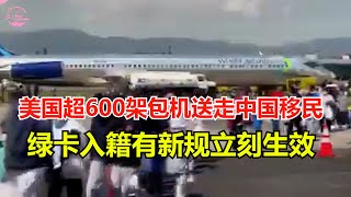 美国大使馆通告 美国超600架包机送走中国移民 绿卡入籍有新规立刻生效【Echo走遍美国】 【Echos happy life】 【Echo的幸福生活】 [upl. by Notlem292]