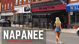 Exploring Napanee Ontario A Charming Small Town Adventure [upl. by Bidle]