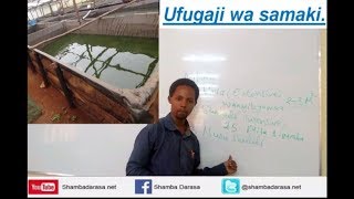 UFUGAJI WA SAMAKI  KUFUGA SAMAKI KWA MABWAWAKUFUGA KAMBALEKUJENGA MABWAWA YA SAMAKI [upl. by Dahc348]