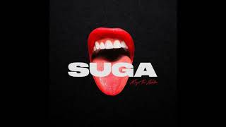 Megan Thee Stallion  Savage Clean Official Suga [upl. by Ssegrub]